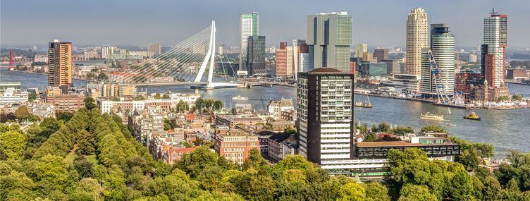 negocios en holanda